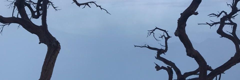 justmythought banner