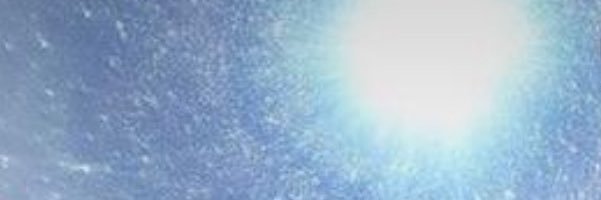 Elza D. Embry banner