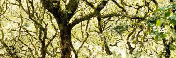 roryjgibb Profile Banner