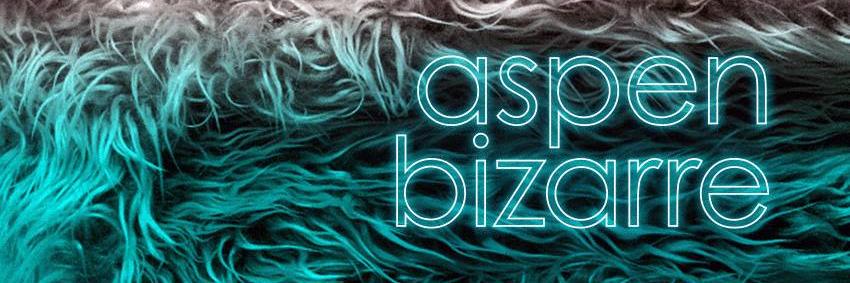 aspen bizarre disco banner