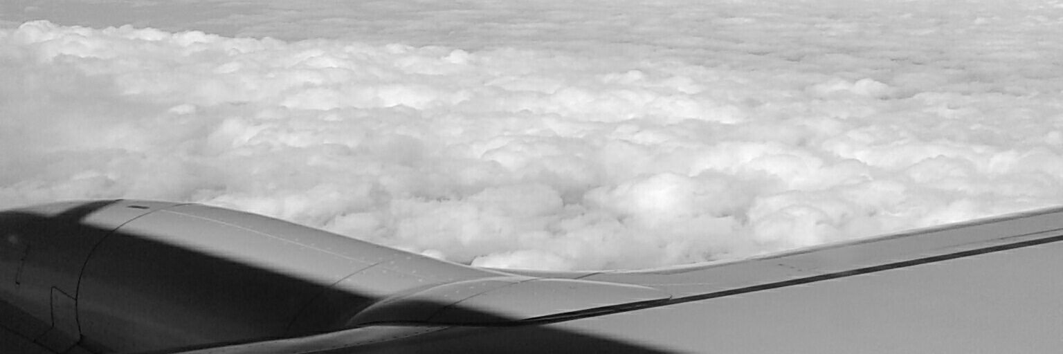 nikiojedaok's profile banner image