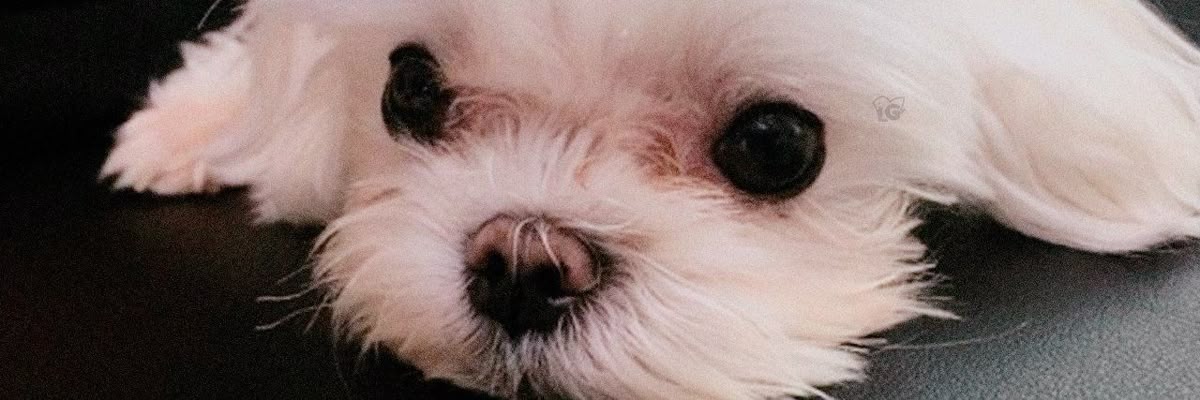LiamButt668032's profile banner image