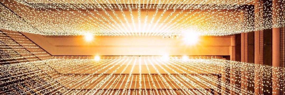 Shark | Zzub Zzub banner