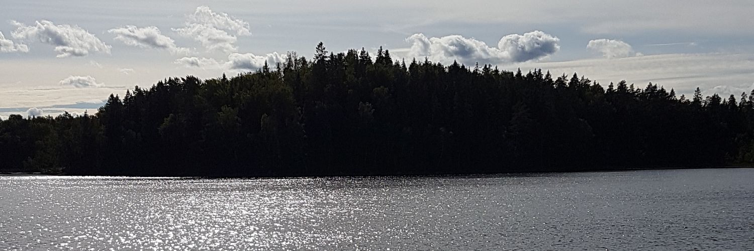 anru_'s profile banner image