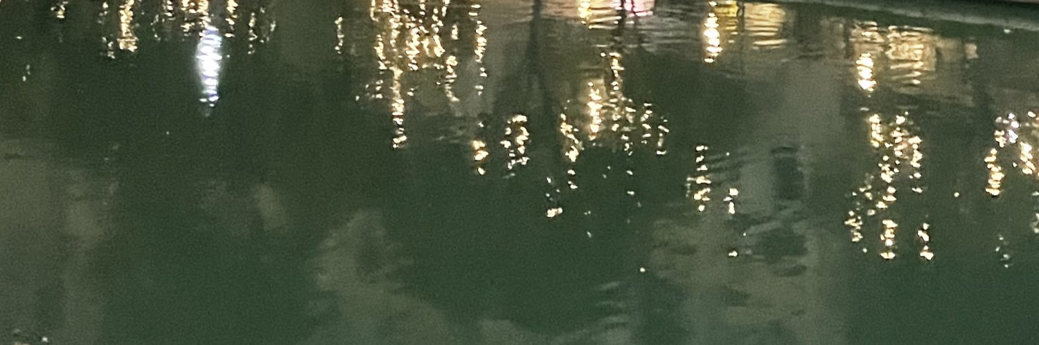 M E J I A banner