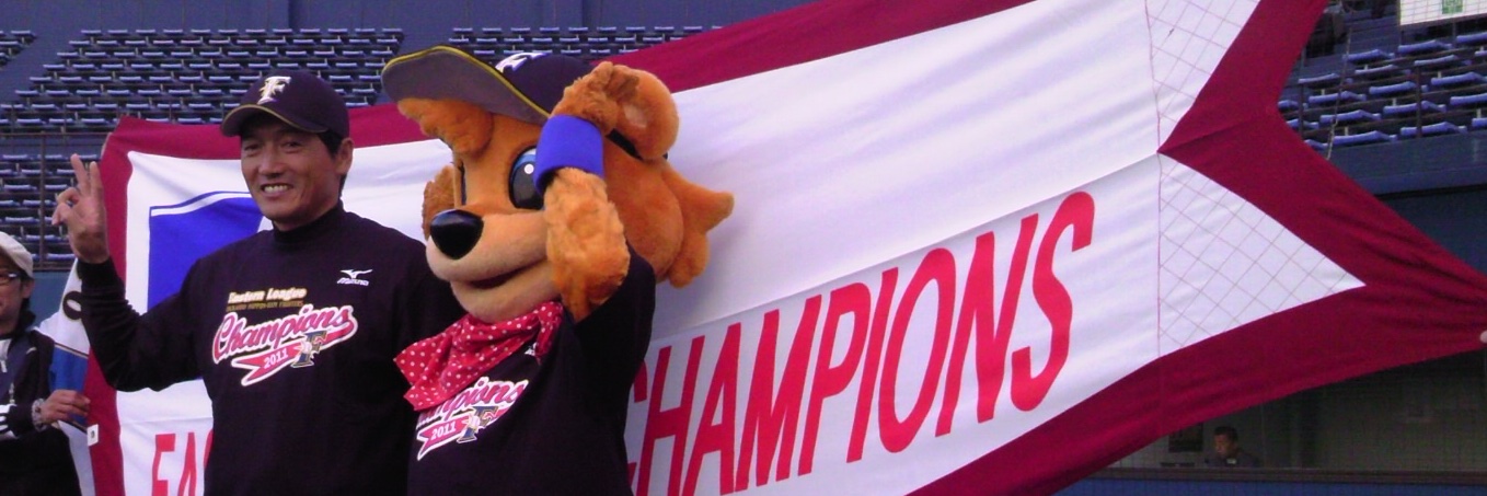 日日是球日 banner