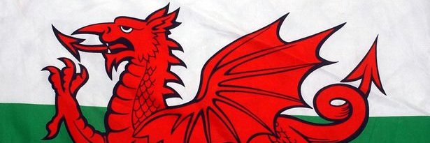 cobraboo's profile banner image