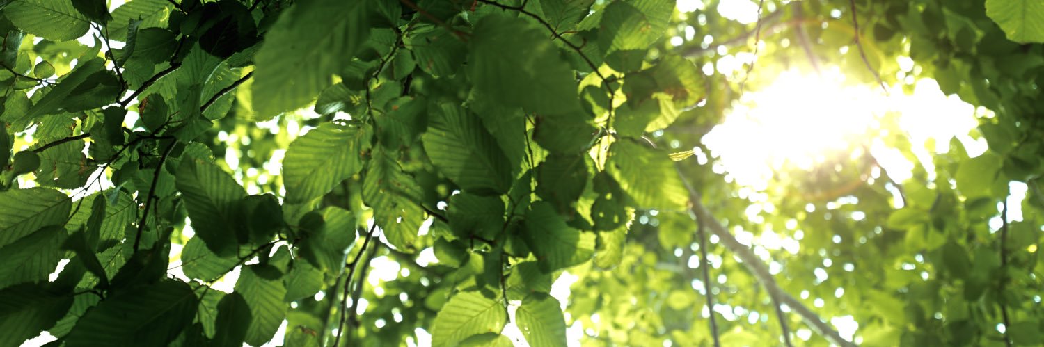 karlrichard's profile banner image