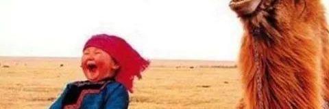 ALKOCINSAAT's profile banner image