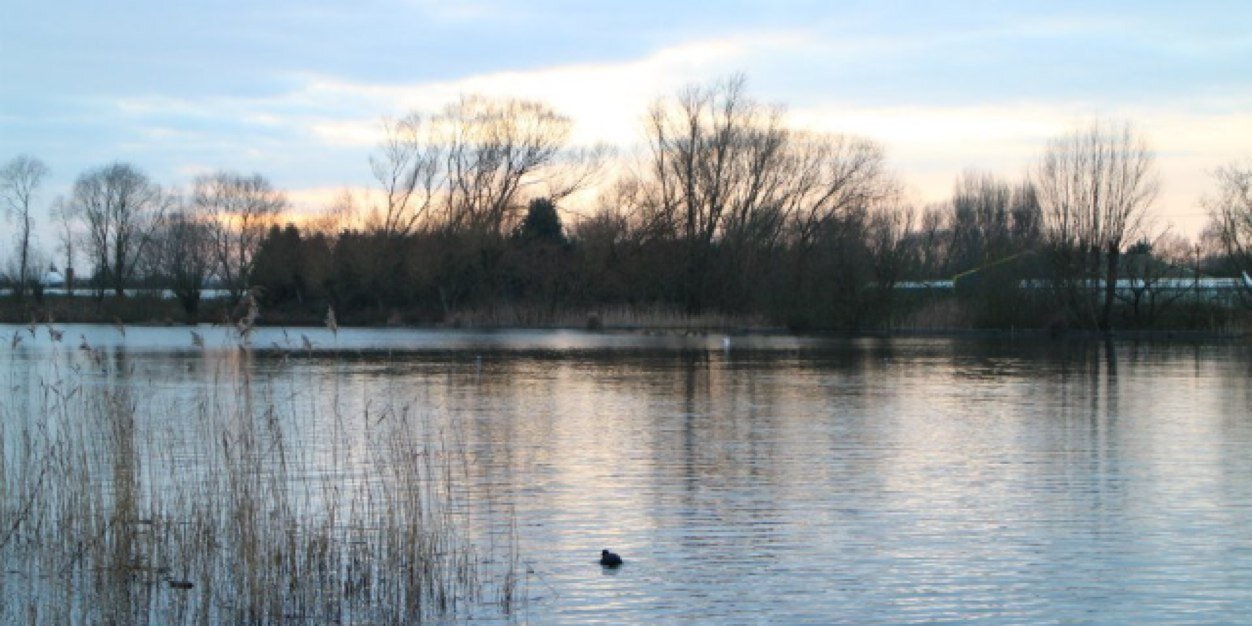 Danielle squire banner