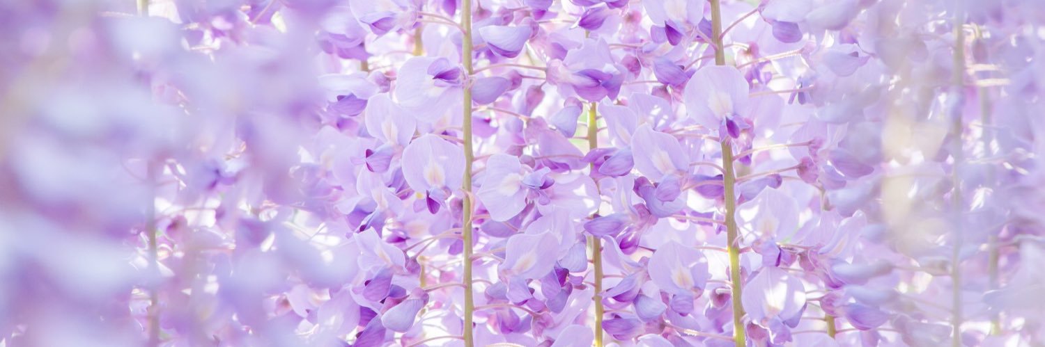 SIMEON_IOSUI's profile banner image