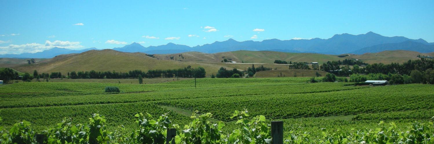 Will Bartholomew banner