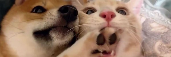 Josespage Profile Banner