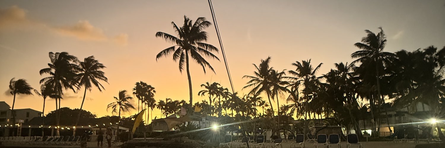annarias_'s profile banner image