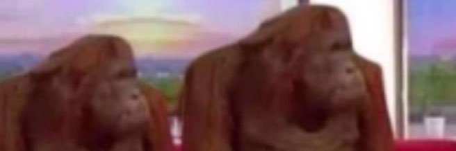 AndyWhiteside10's profile banner image