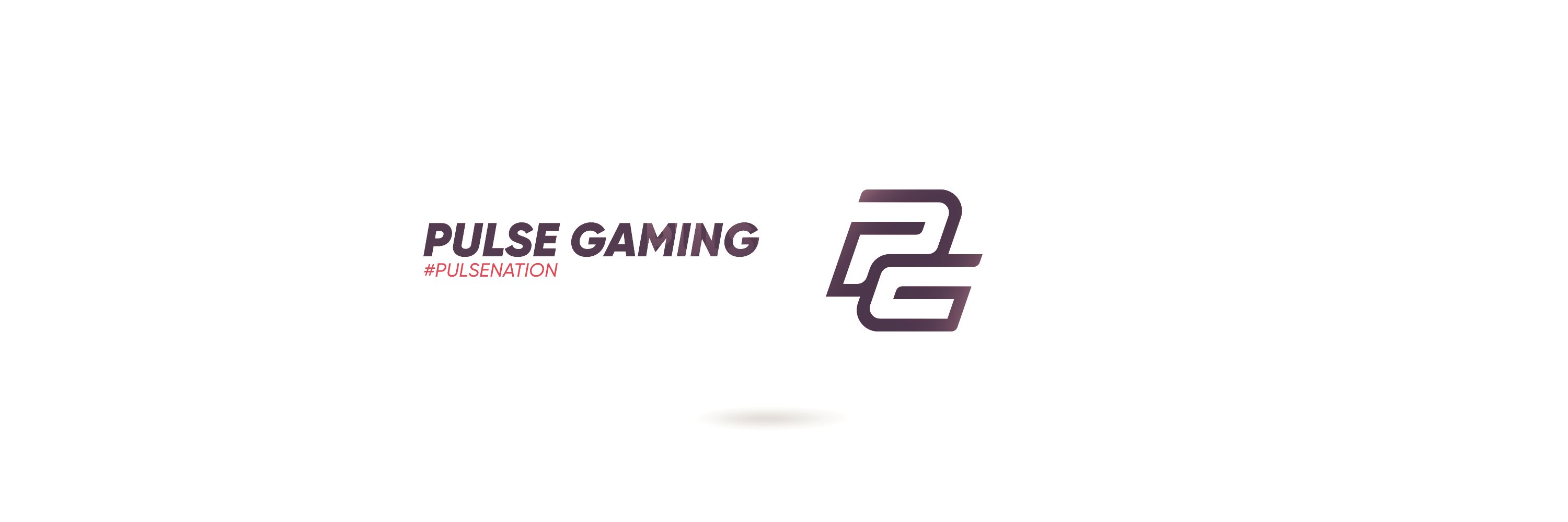 Pulse Gaming banner
