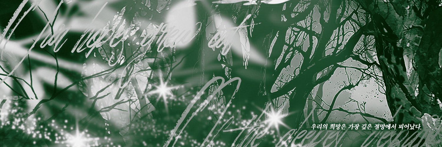 Miraculum Noctis banner