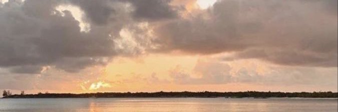 alysachirkoff's profile banner image