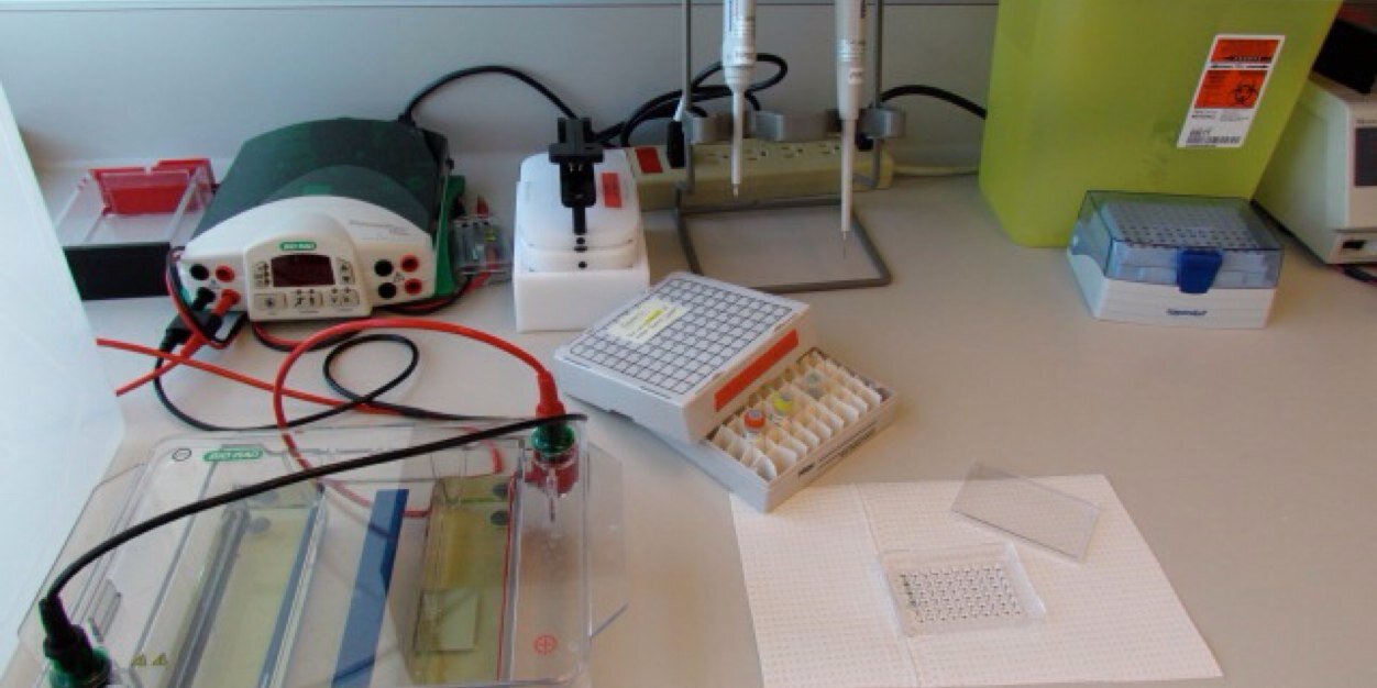 Linda Larcombe banner