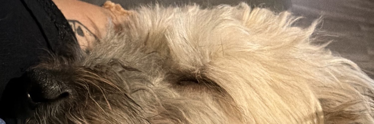 claudpodd's profile banner image