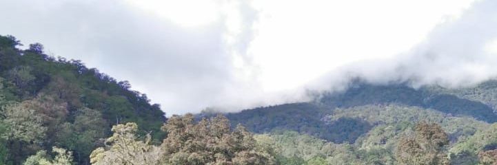 RrSetka's profile banner image