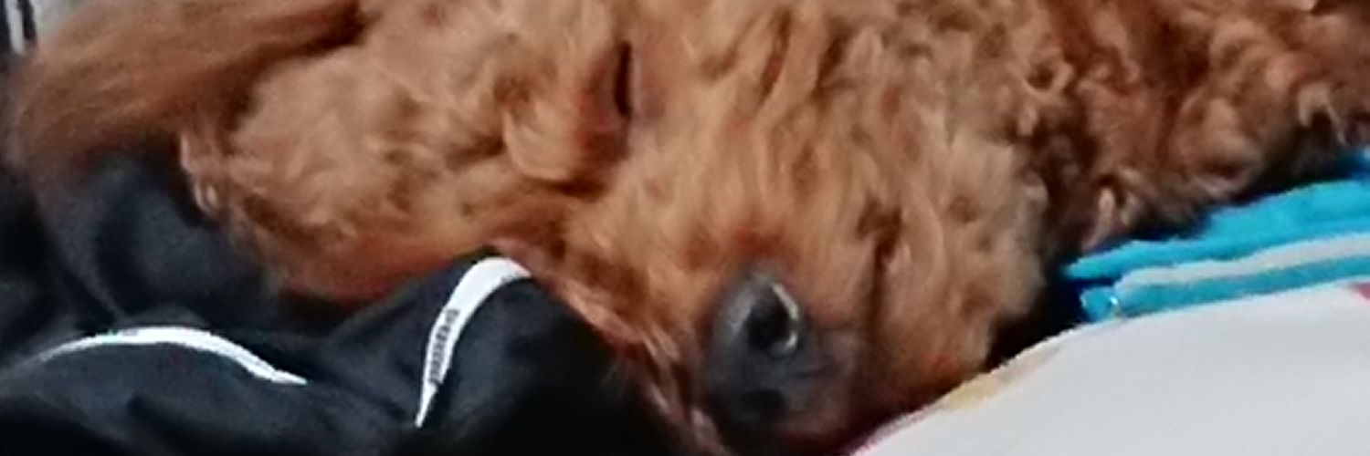 a03471's profile banner image