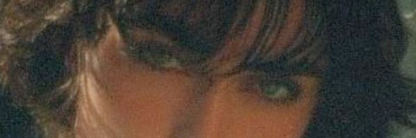 shad0958 Profile Banner