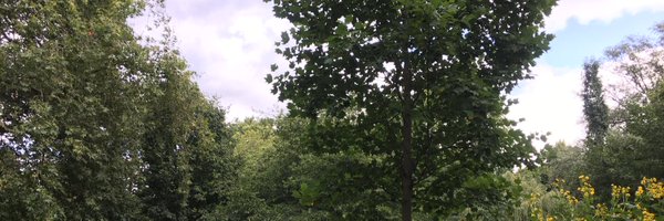 HStoriegamified Profile Banner