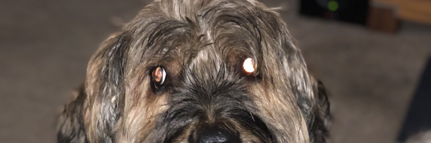 Rob Williams 🏴󠁧󠁢󠁷󠁬󠁳󠁿🇪🇺 banner