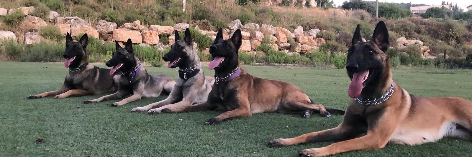 Aaron Friedman banner