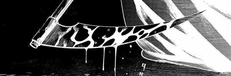 zaire 🦇 banner