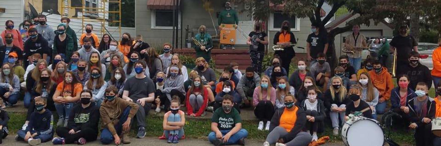 Wildcat Fanatics banner