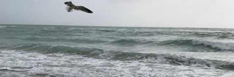 nicociafa82's profile banner image