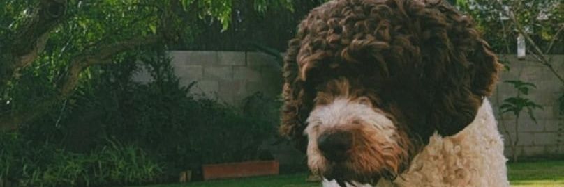 Fernando Glez Posada banner