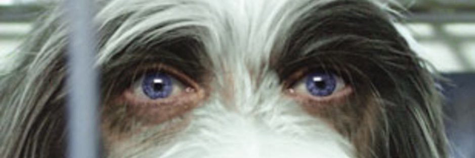500sheetz's profile banner image