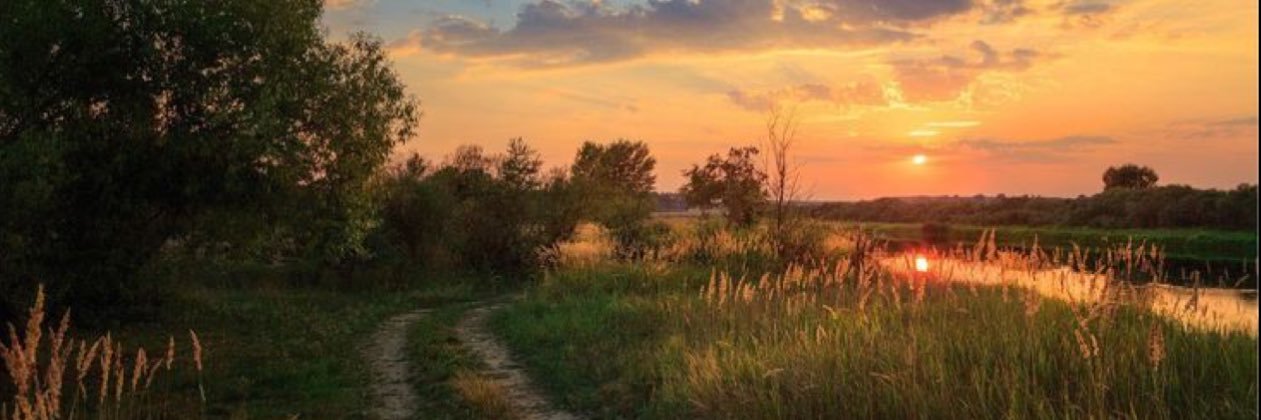 - banner