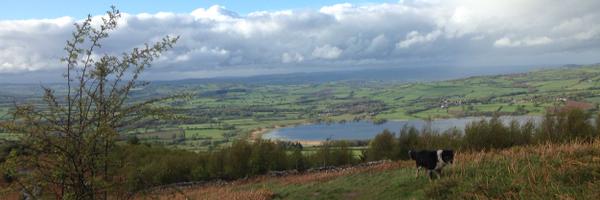 carlajr Profile Banner