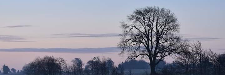 Mary1002's profile banner image