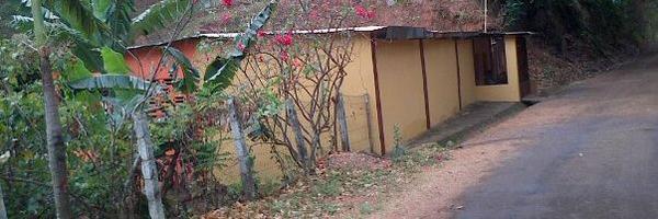 manupinto89 Profile Banner