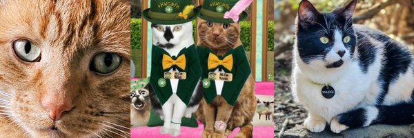 KevinandSmudge Profile Banner