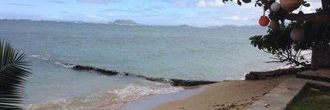 Brian (Puni) B. banner