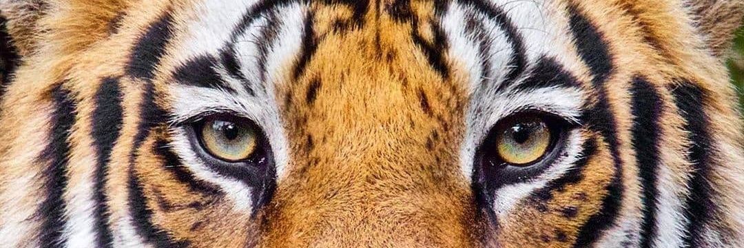 YudiixH's profile banner image