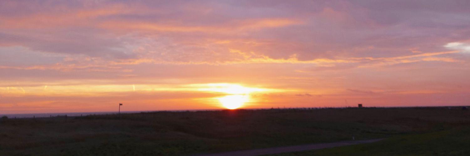 tracylovescake's profile banner image