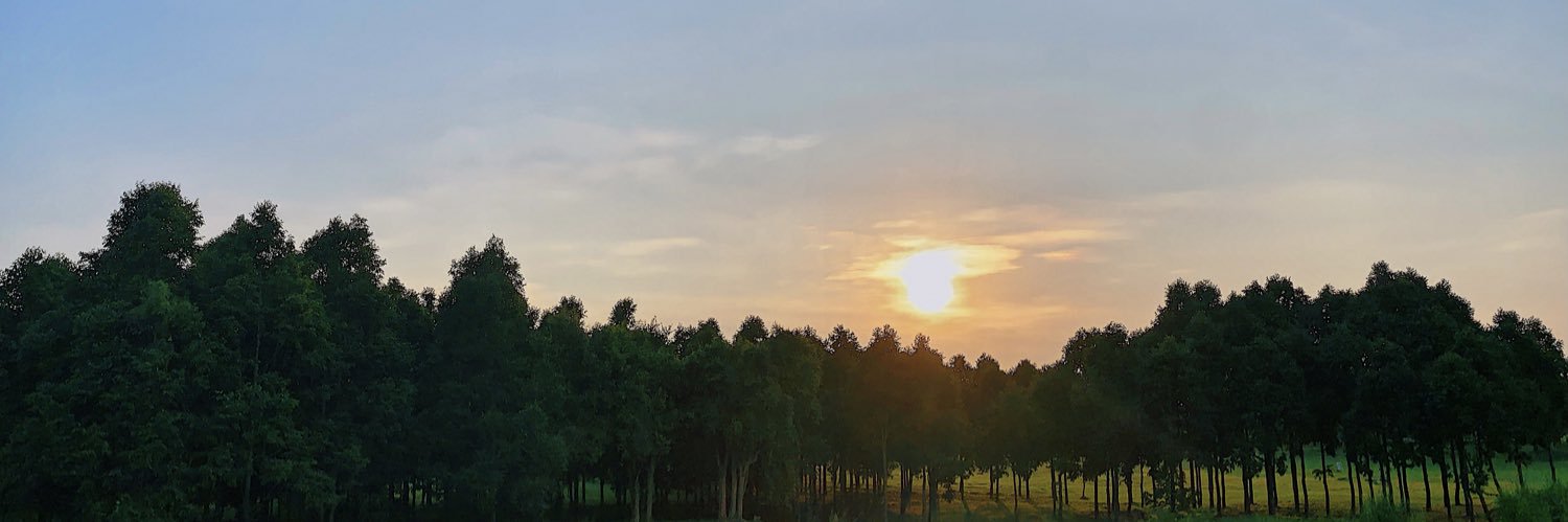 DDeemnu's profile banner image