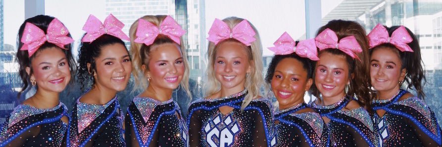 Reese seibert banner
