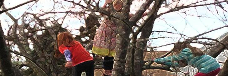 Edfuture's profile banner image