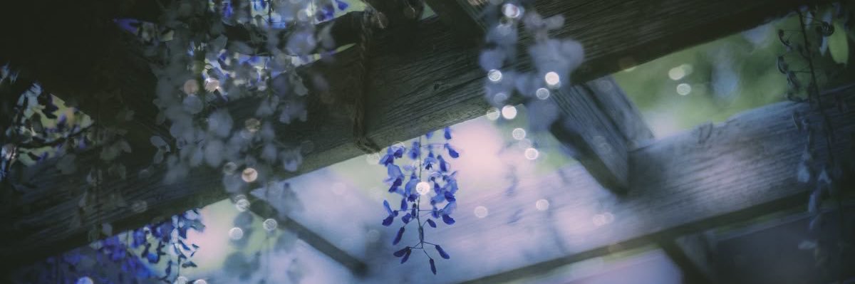Reis_NVMA's profile banner image