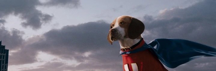 Jack_Harris5's profile banner image