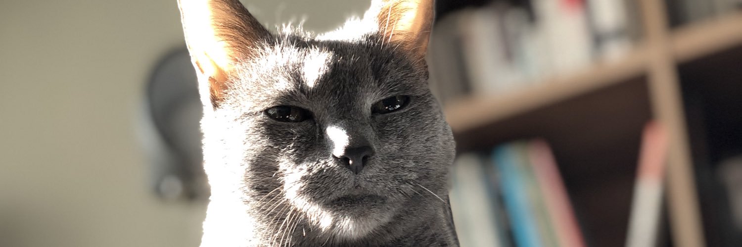 reiot's profile banner image