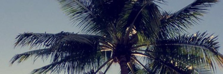 DelgadoJacy's profile banner image